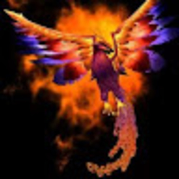 Meet your Posher, Phenix rising - Picture 1 of 1